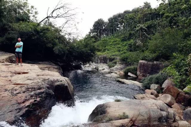 清水“煮虾”时，冷水下锅还是开水下锅？一直做错，虾肉又老又腥